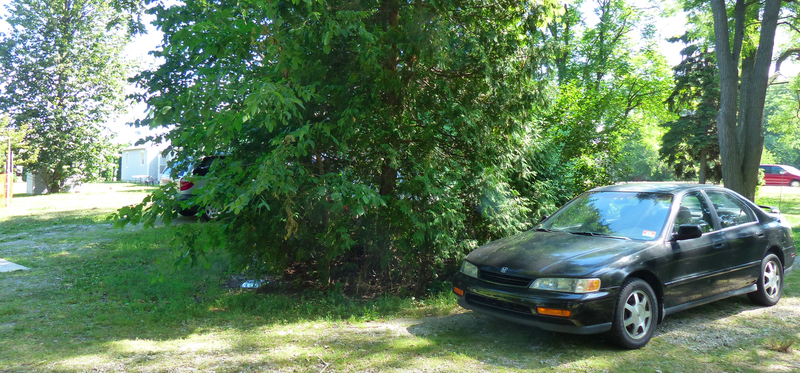 The Honda sits in my landlord’s driveway. I live in that light blue house in the background.